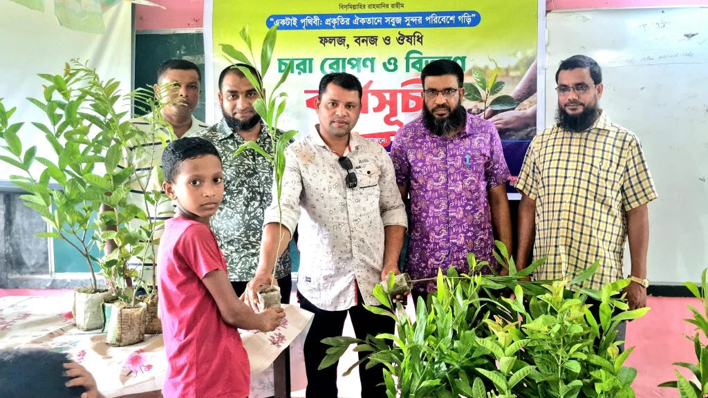 গাছের চারা বিতরণ