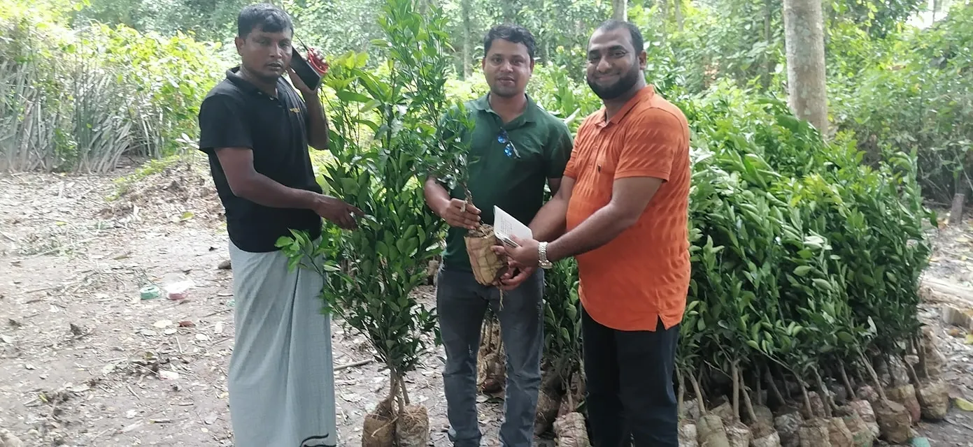 চারা বিতরণ করতেছি... গাছ লাগাই, অক্সিজেন বাড়াই।